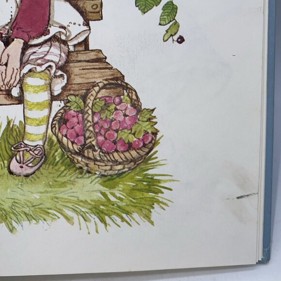 The Adventures of Strawberry Shortcake and Her Friends Hardcover 1980 - Picture 6 of 14